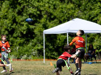 Broncos Flag 2026